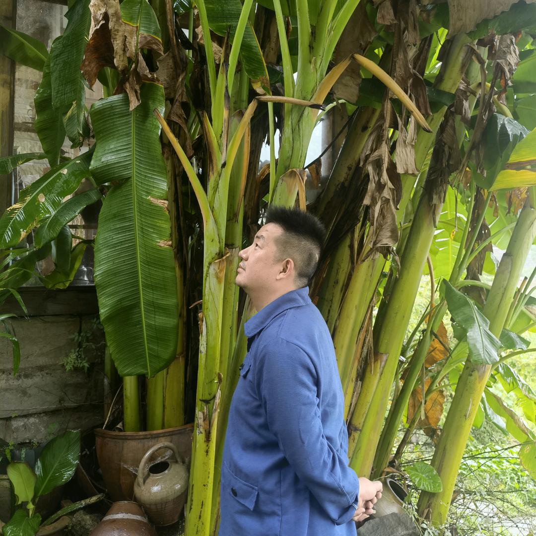 发财【萝卜干厂长】