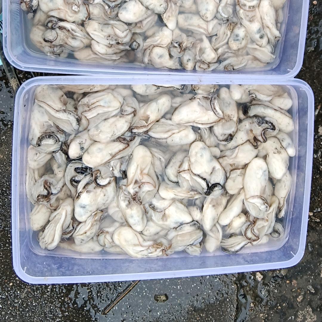 单身王子
