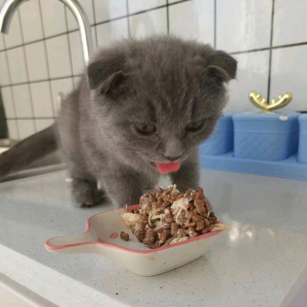 爱做线上的银儿