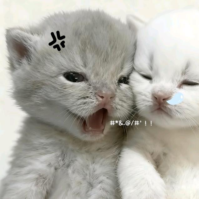 卖茶的老登