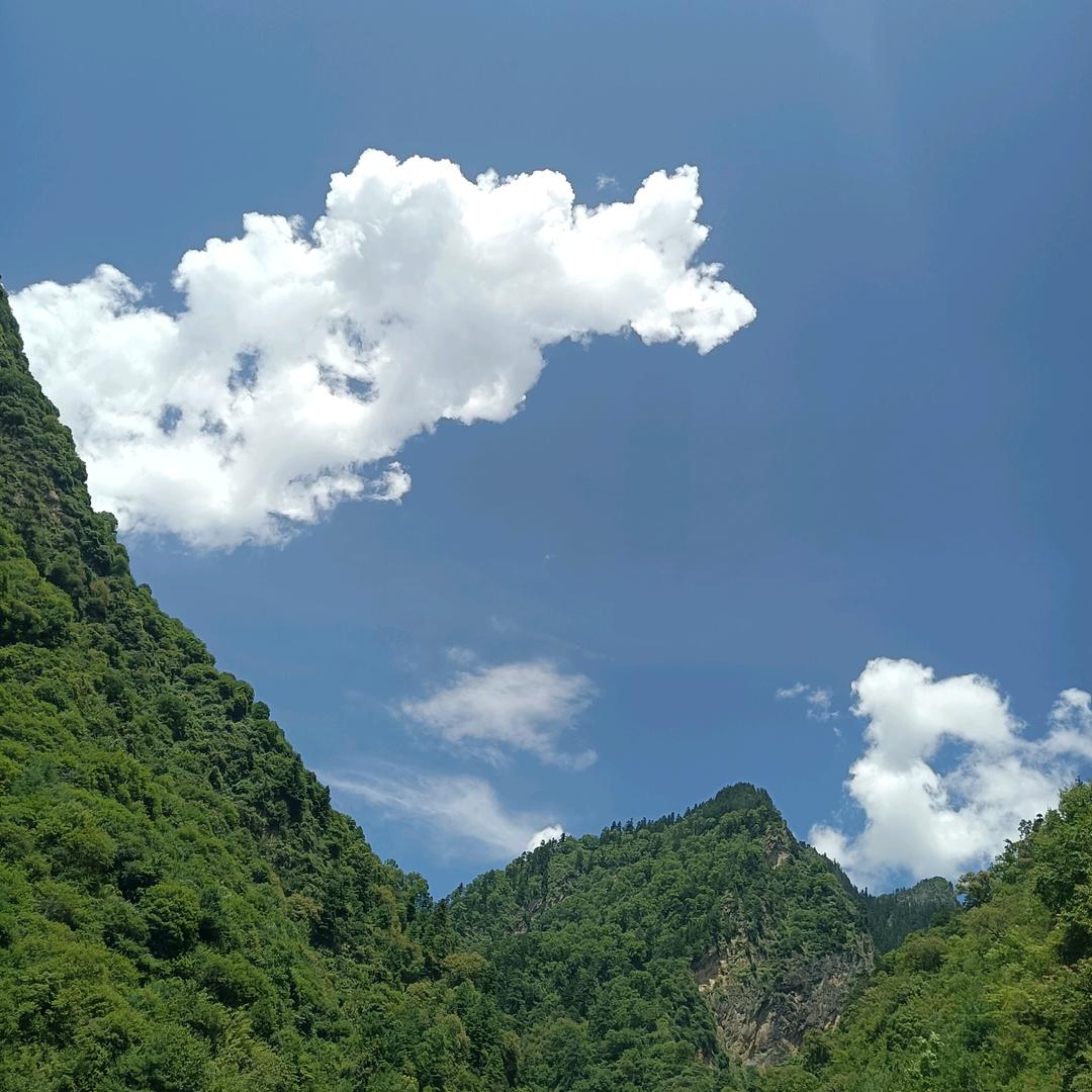 叫我票子