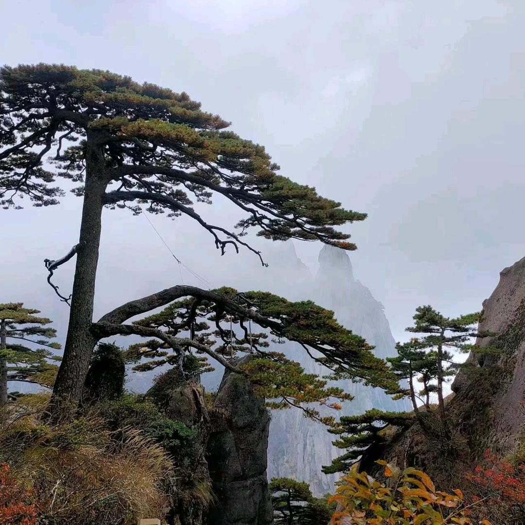 一切随缘吧