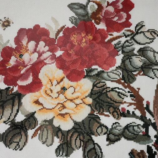 涅磐重生（陕西方言版）