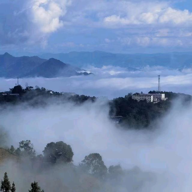 滇普岩韵&古树茶