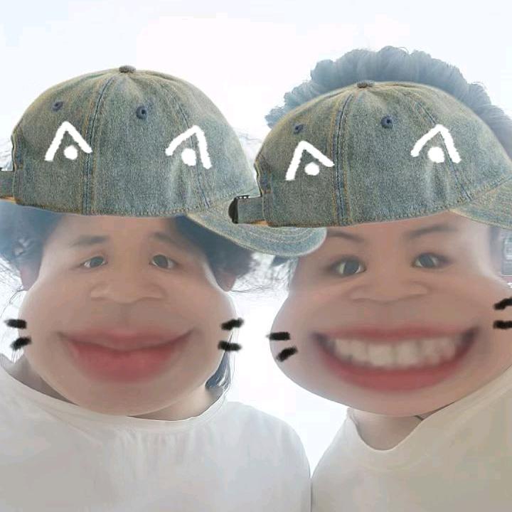 笨蛋布丁