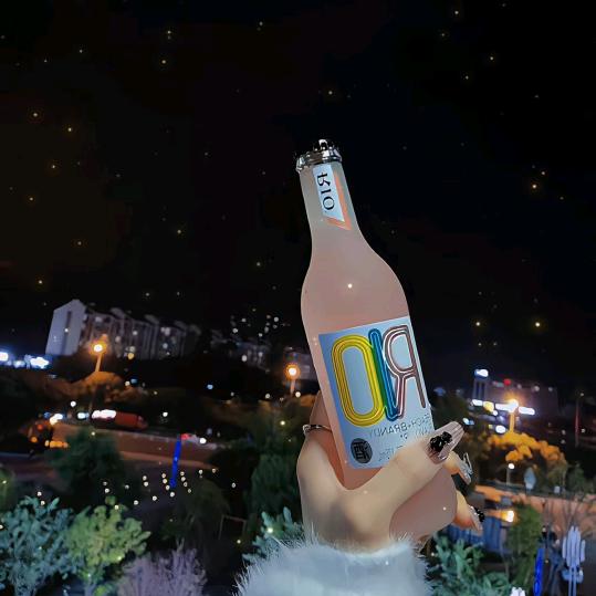 孤岛求梦