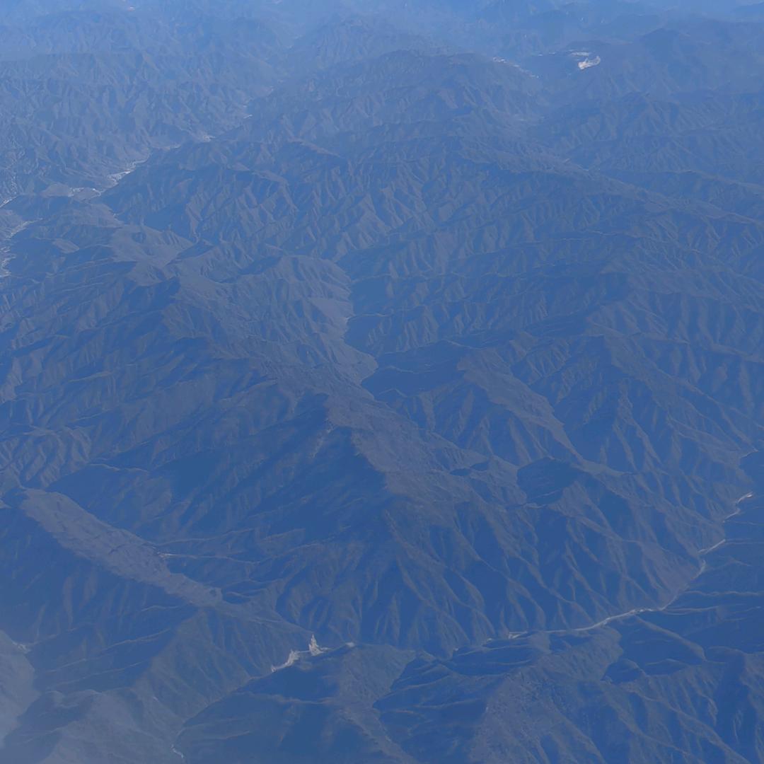 杭州四季青(年前特惠中)