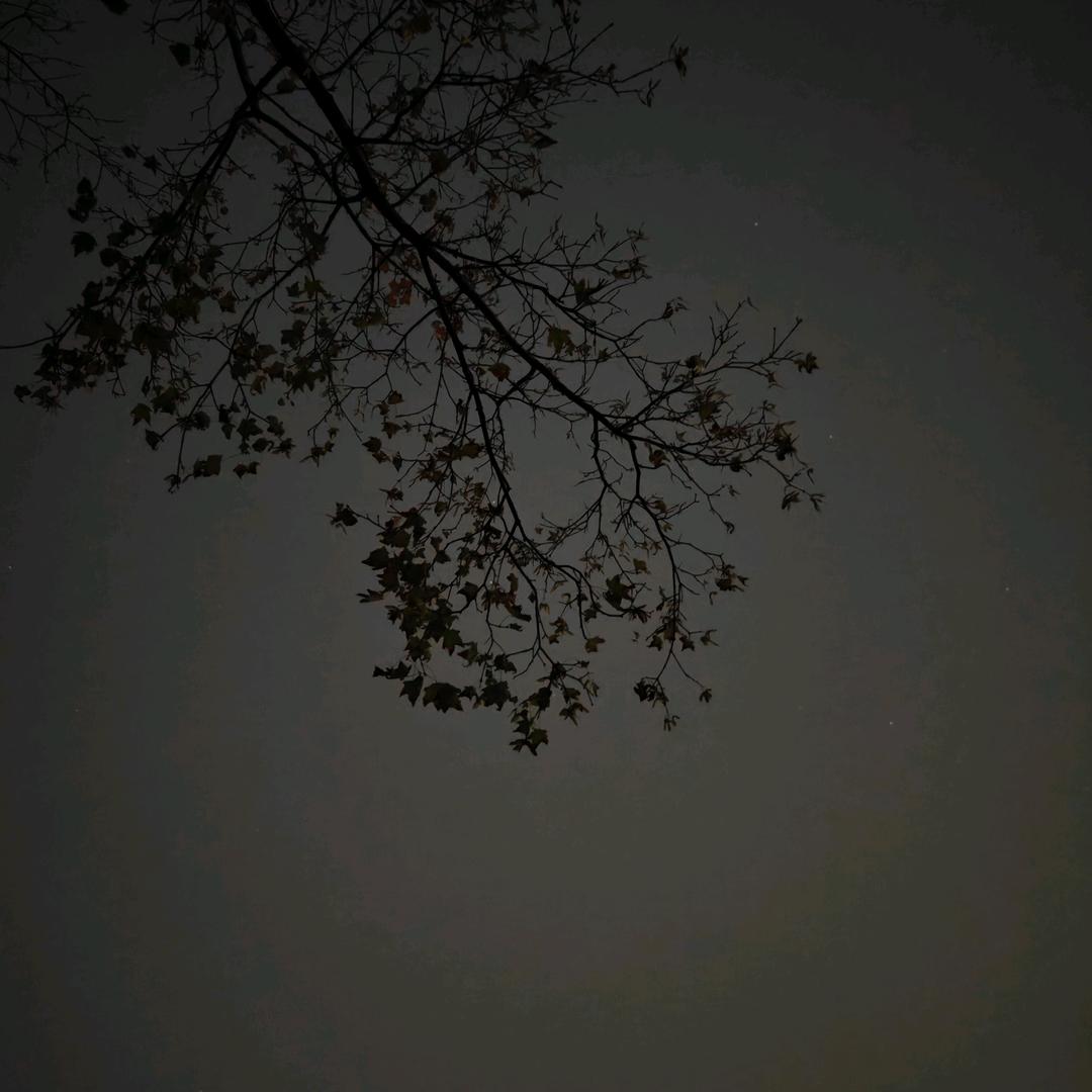 不过