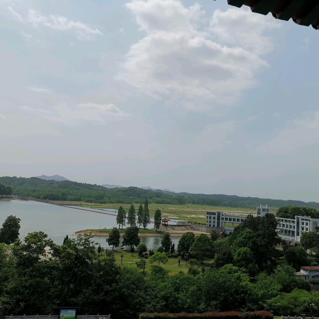 蒋同学(勿忘初心)