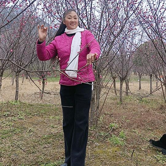 向有花