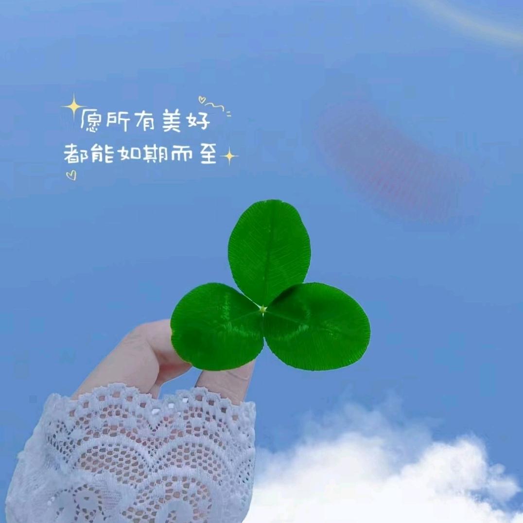人生若只如初见🍀