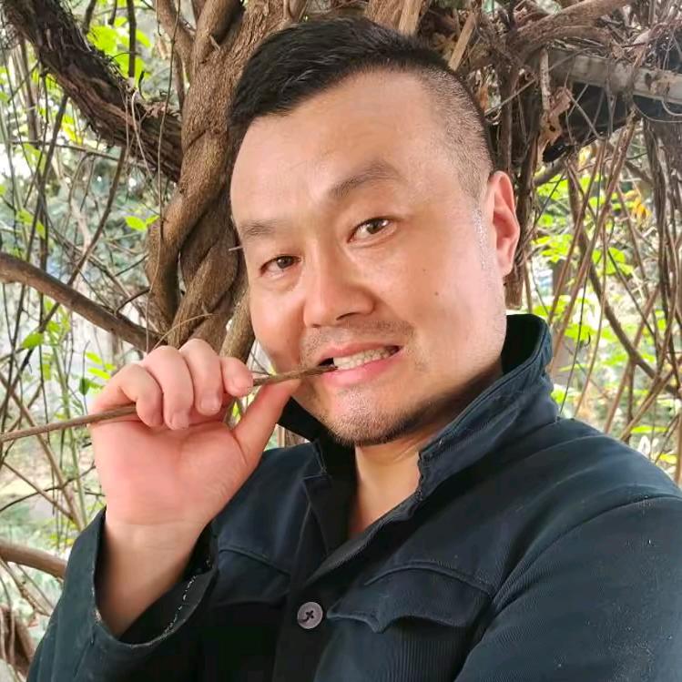 农村二娃（杜高五黑土猎梗类犬带训咬人狗）