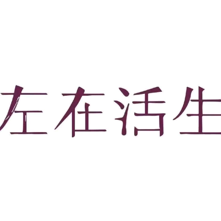 生活在左A Life On The Left服饰旗舰店