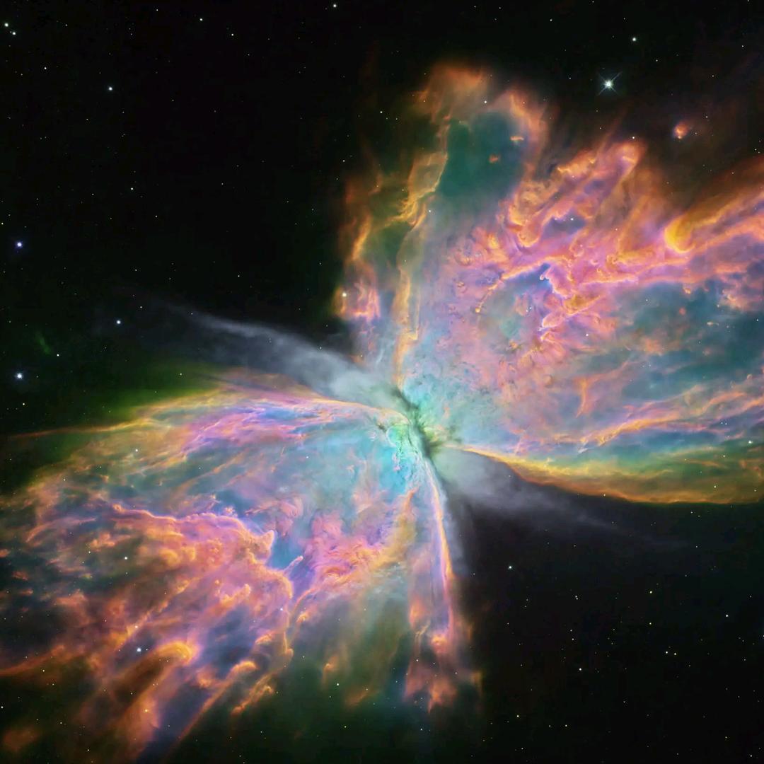 阿鱼的自愈世界