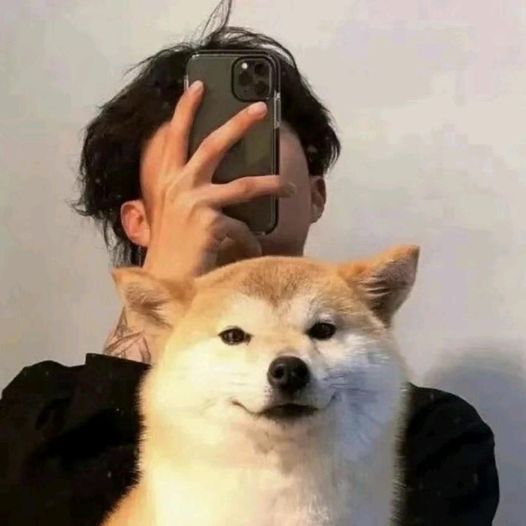 柳恍