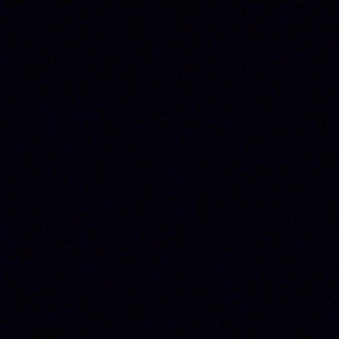 木鱼