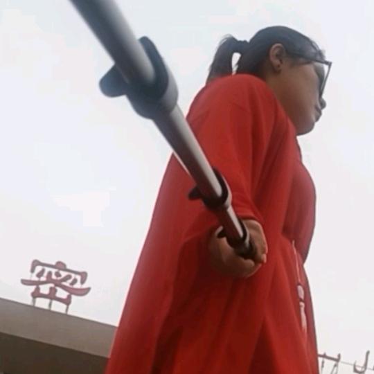 哈密刘元花