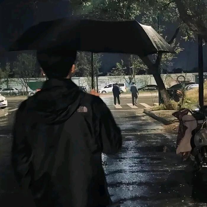 孤庭雨