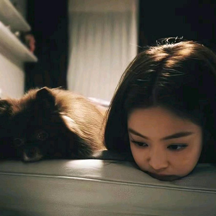 肥猫o