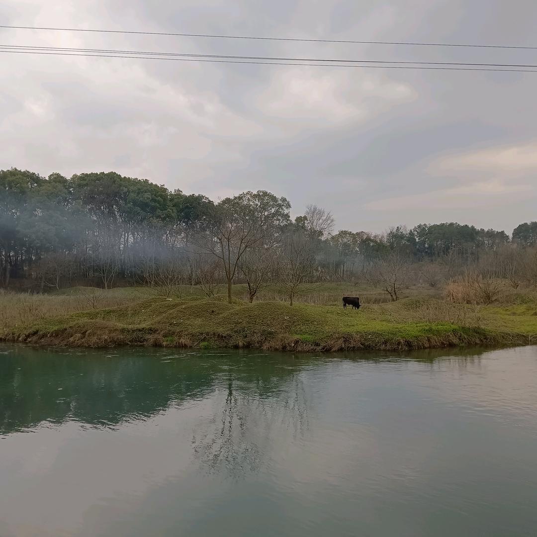 随风飘