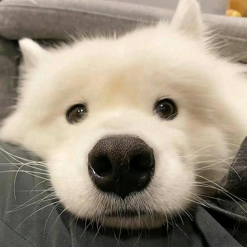 不常笑