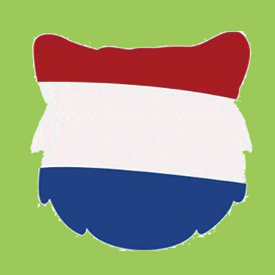 大猫精酿啤酒红猫