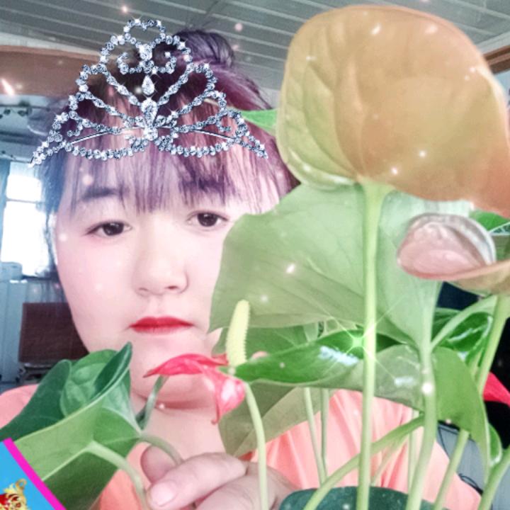 玲珑