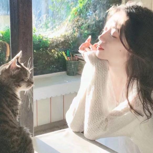 清风自来明月入怀