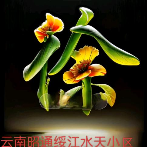 💞🦅清风徐来🐉