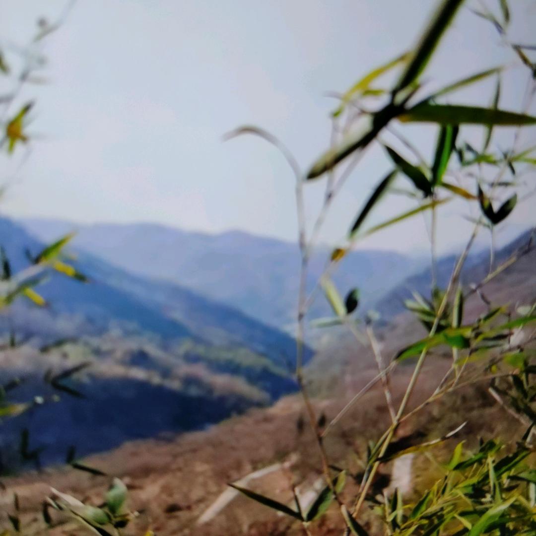 用户8250670千年老妖