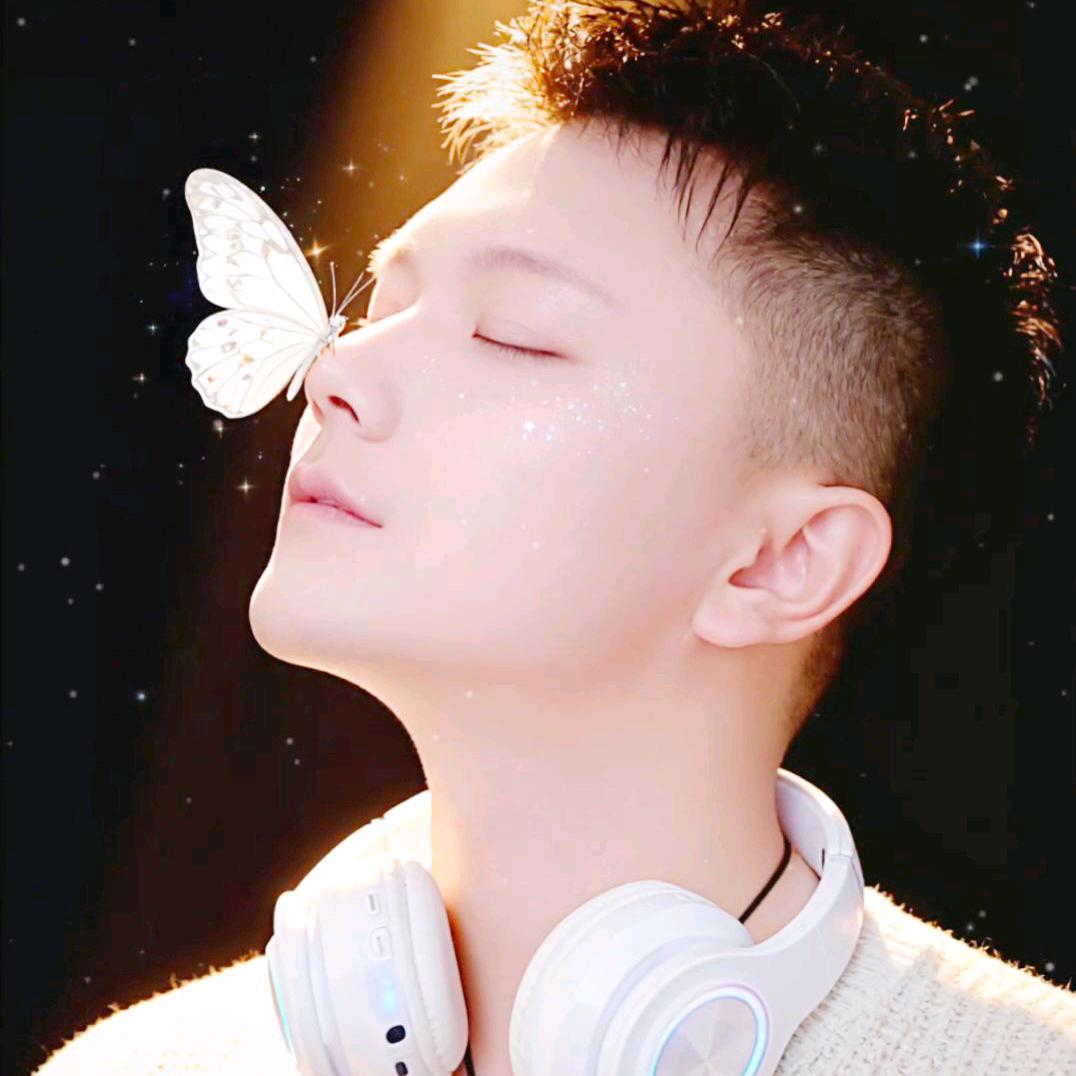 星辰落不了大海