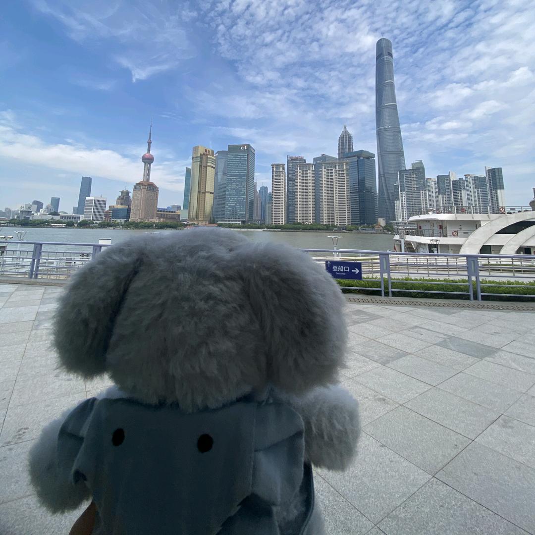 愤怒的小土豆