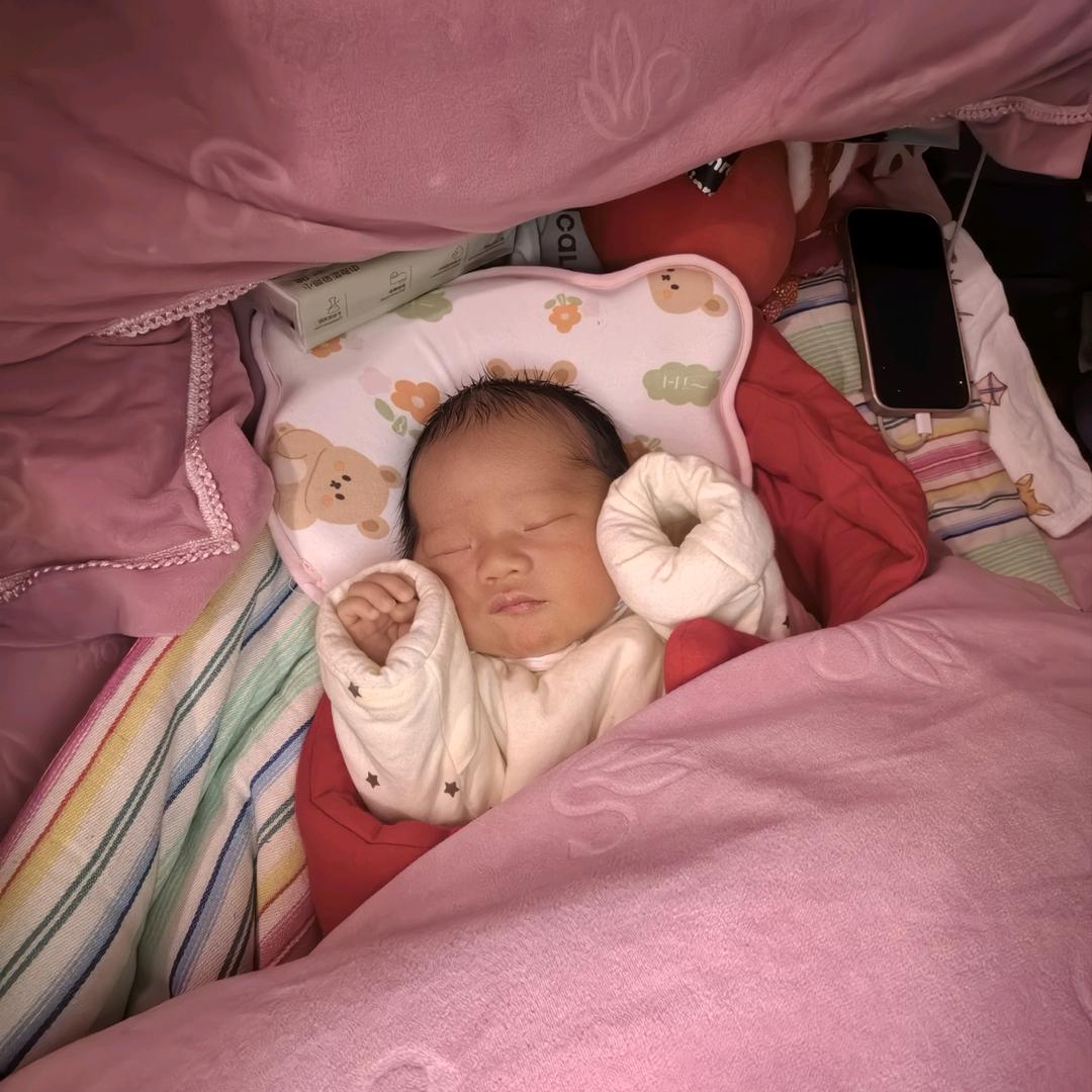 团宝的日常～～