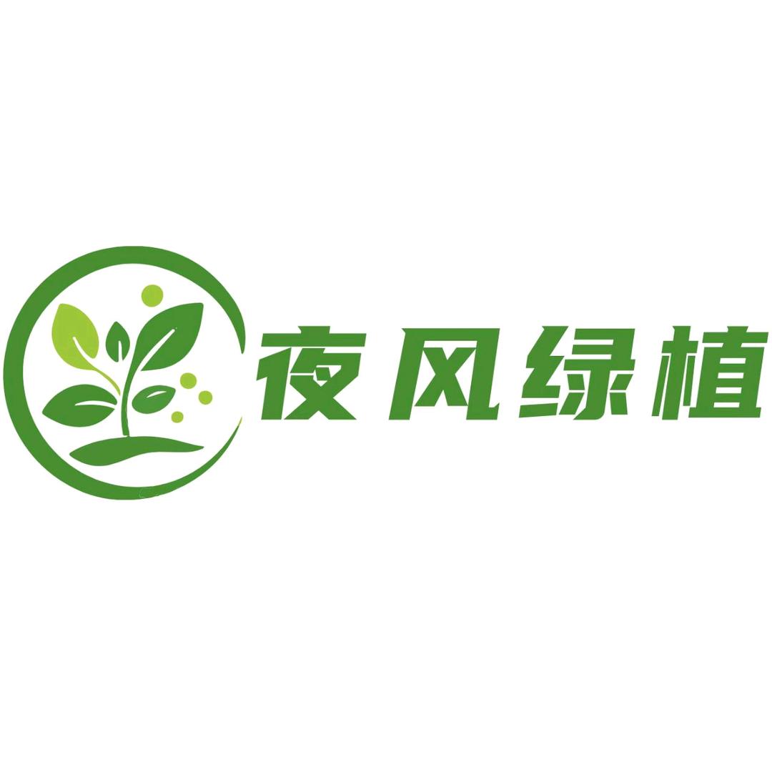 夜风绿植