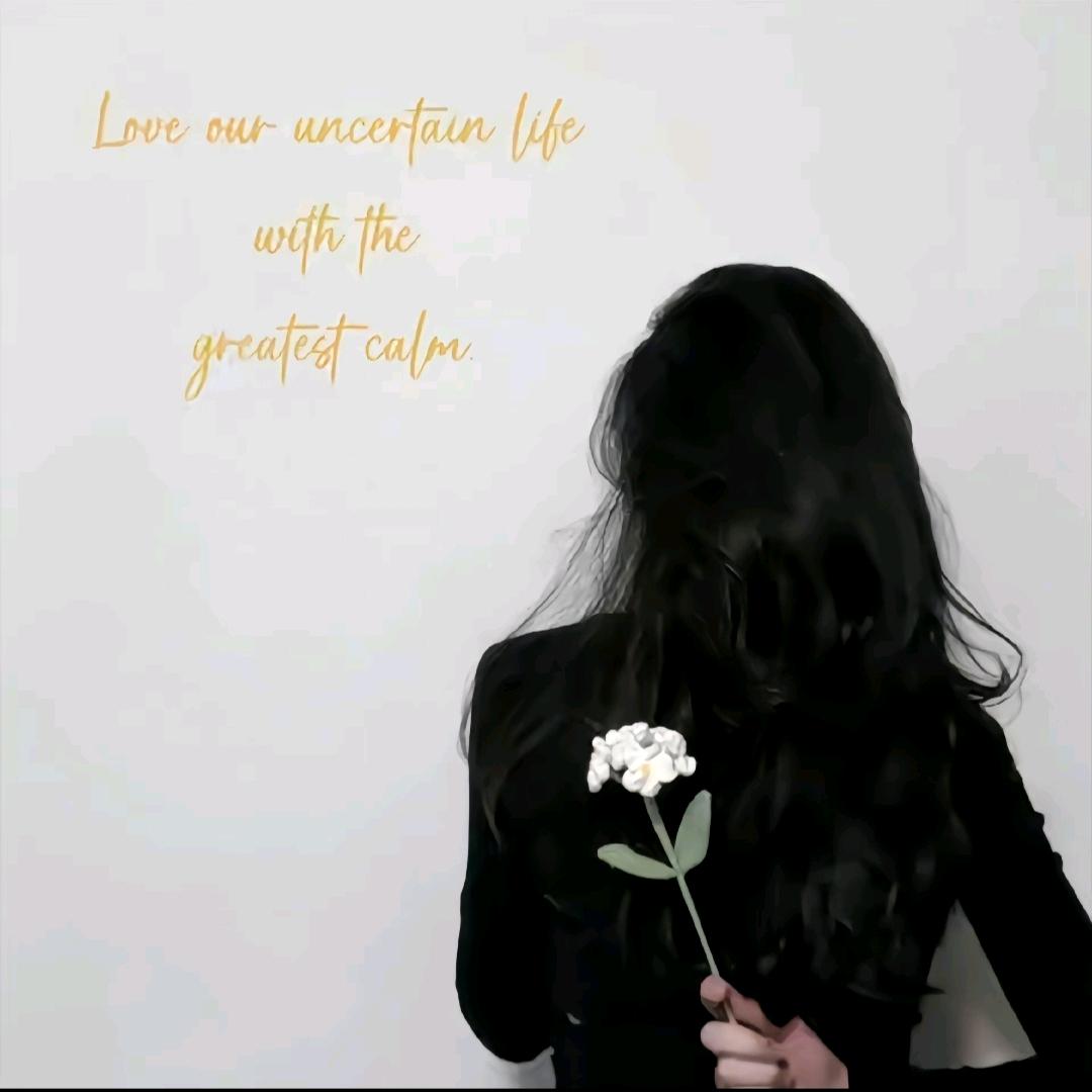 啦贞（橱窗在营业中……）