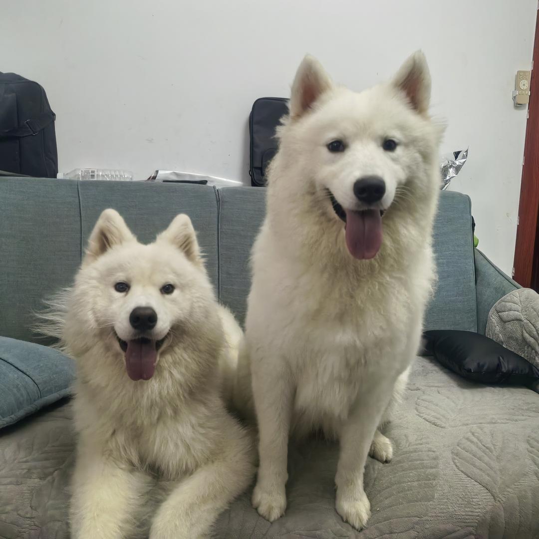 @乐宝&雪花的一家日常