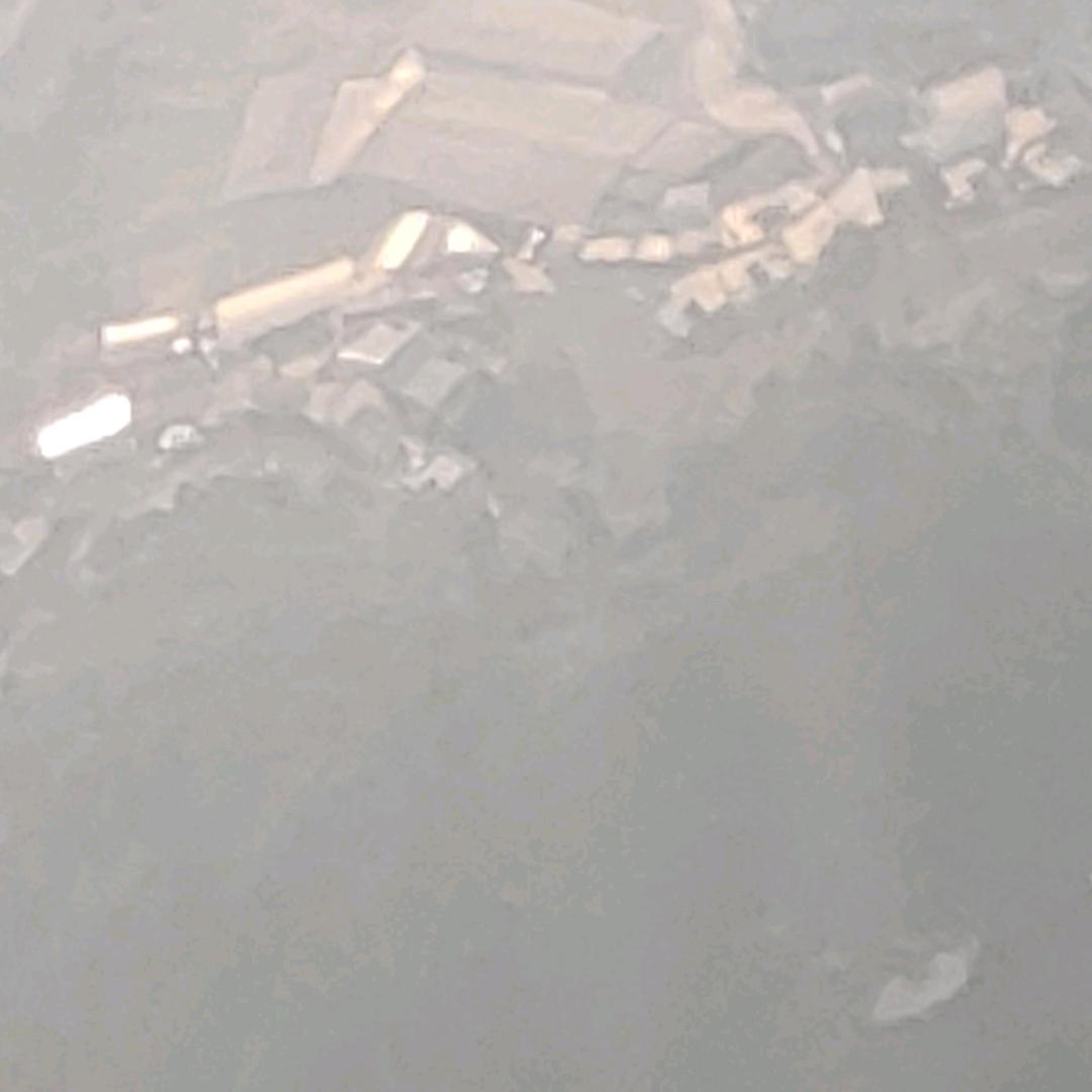 傲雪寒梅^O^