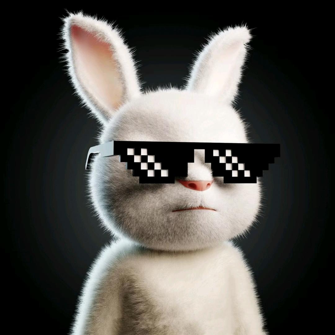 困困小迪（三角洲不动）