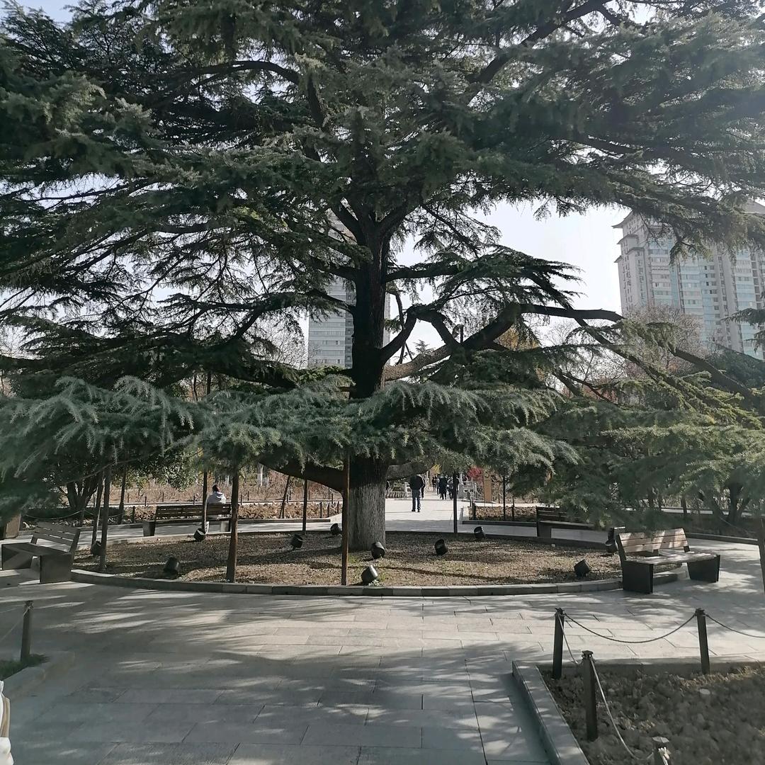 梦想成真🐎🐎