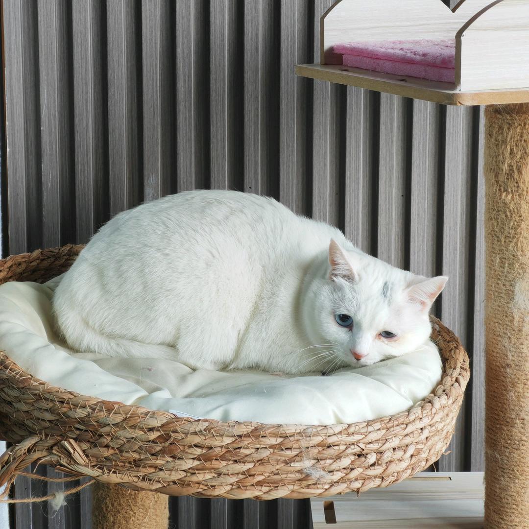 毛毛虫🐛（语录）