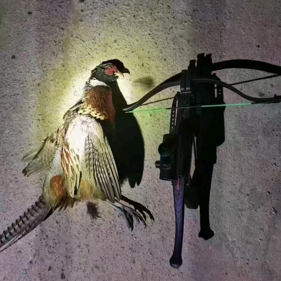 嗯呢