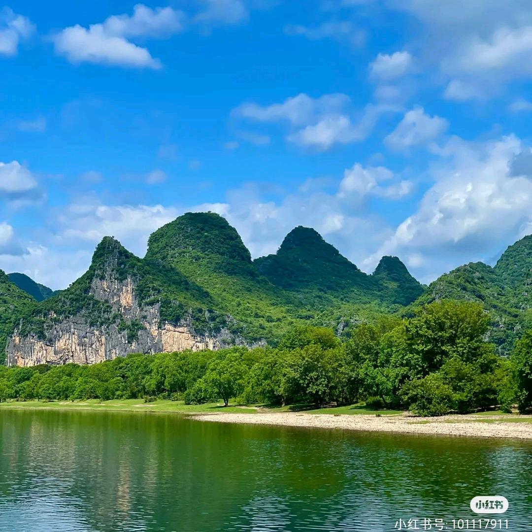 山东力明学院李老师