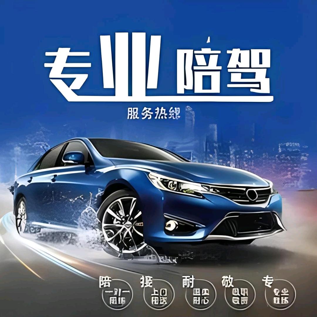 珠海严师傅汽车陪练