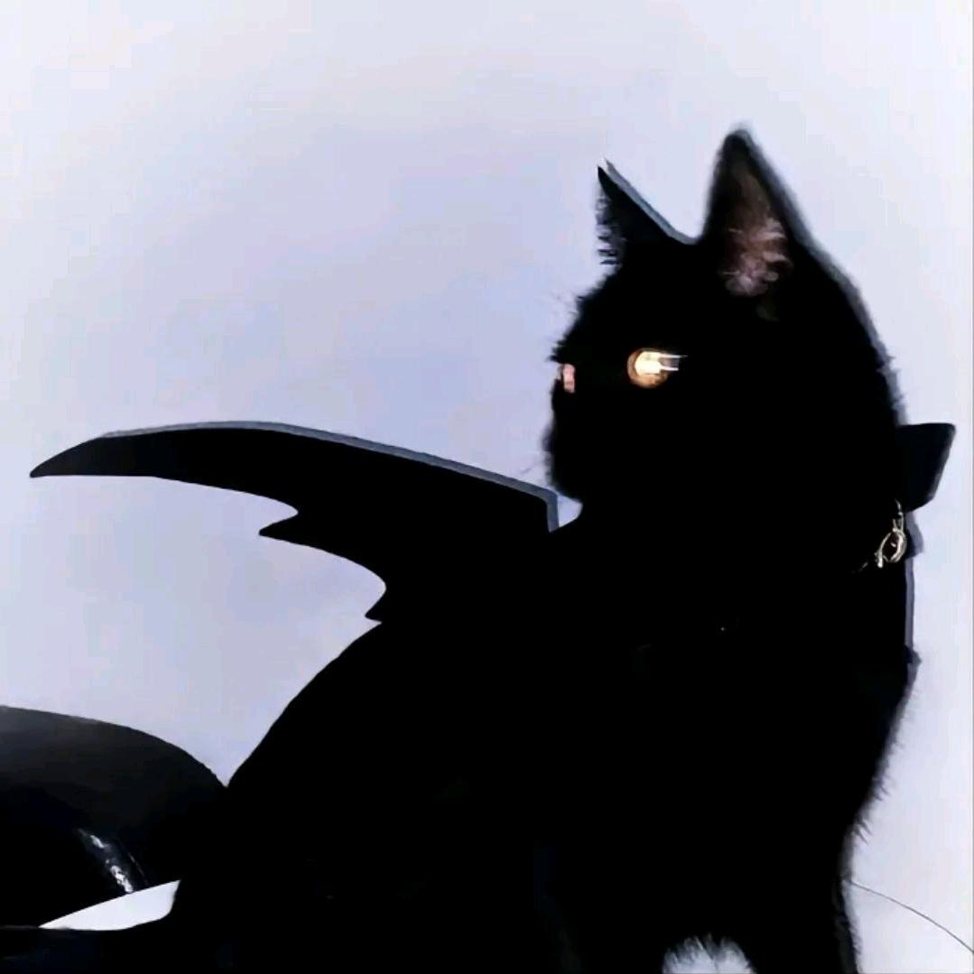 十二.