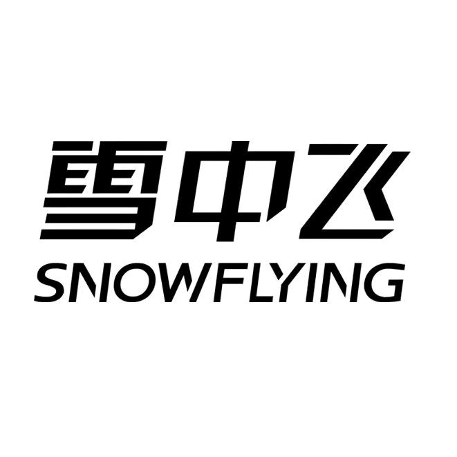 雪中飞运动配件旗舰店