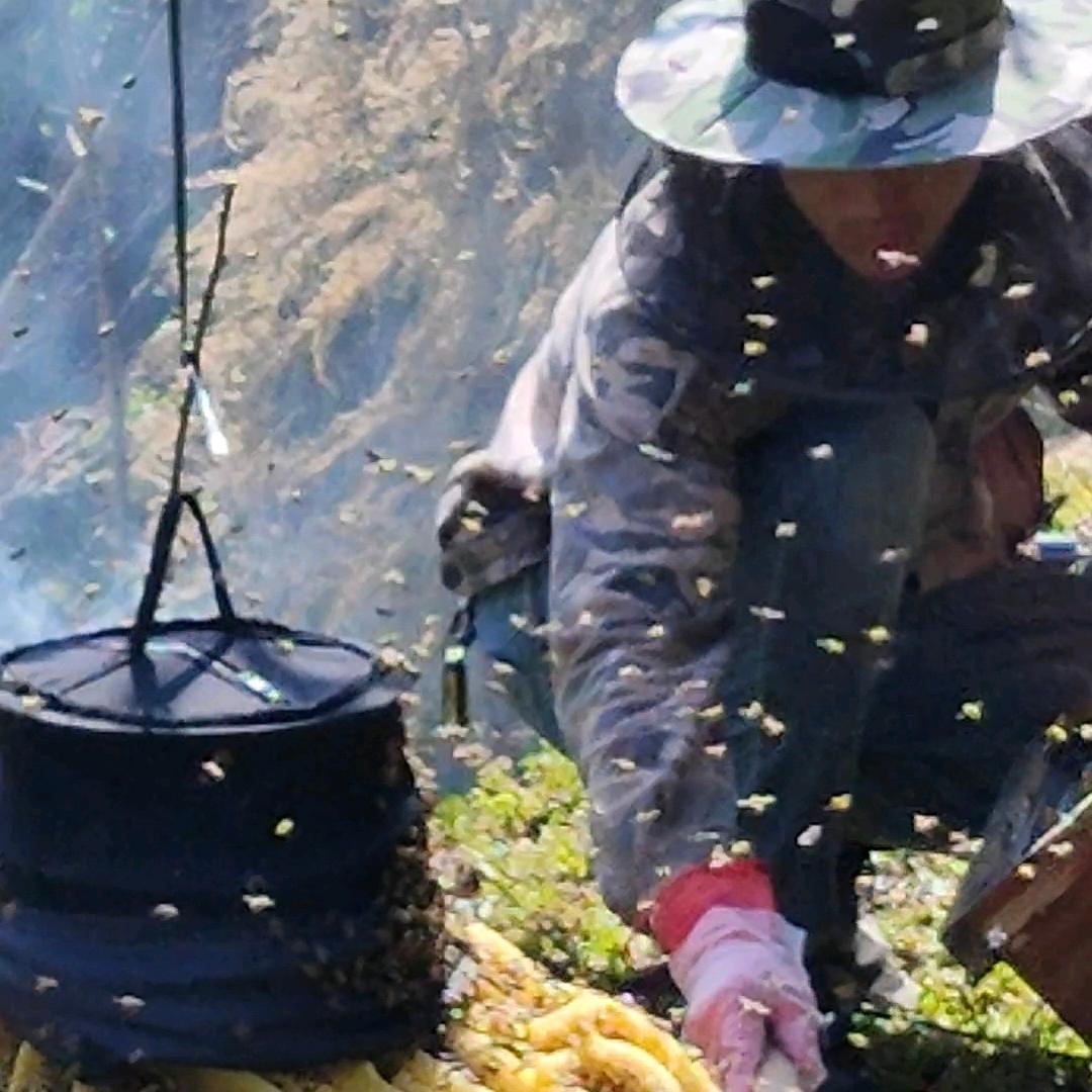 我在山里忙种田