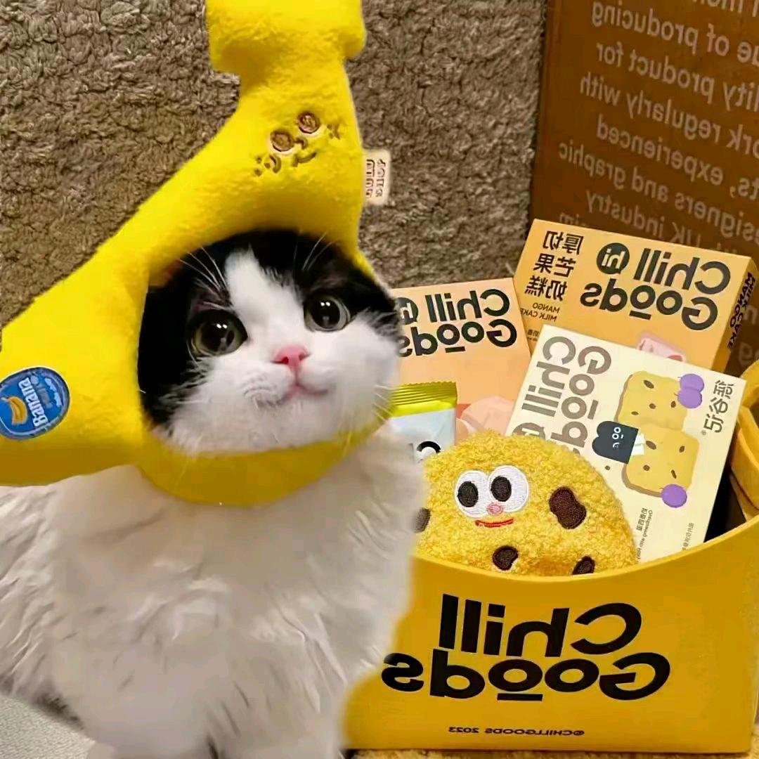 凛季