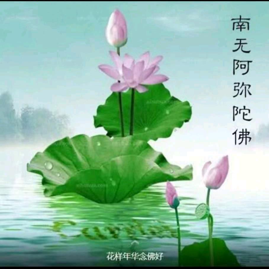 岁月静好🌹