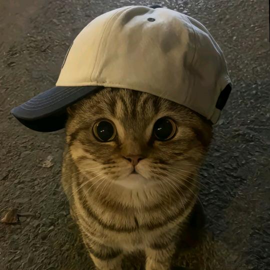 回家种地瓜
