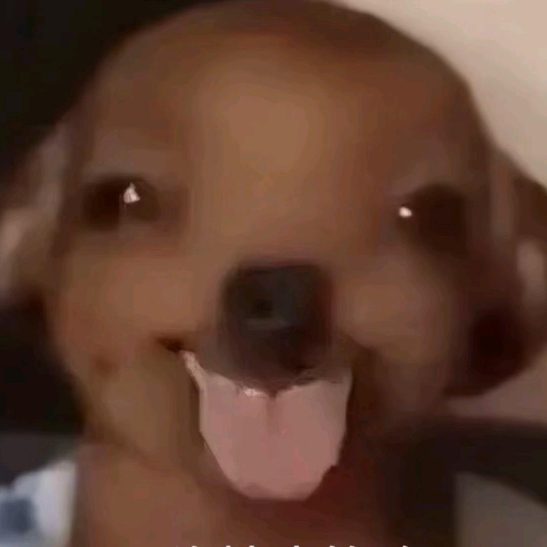 小鱼吃虾米